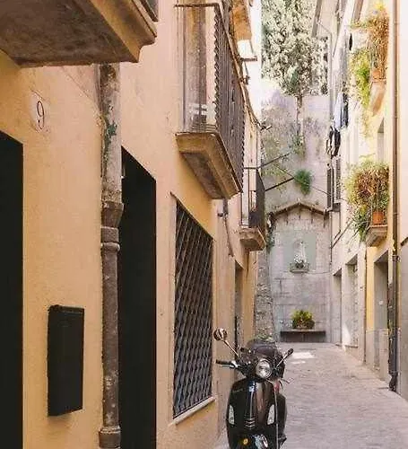 Velo Vern 3- Luxury Penthouse W Views Of * Жирона